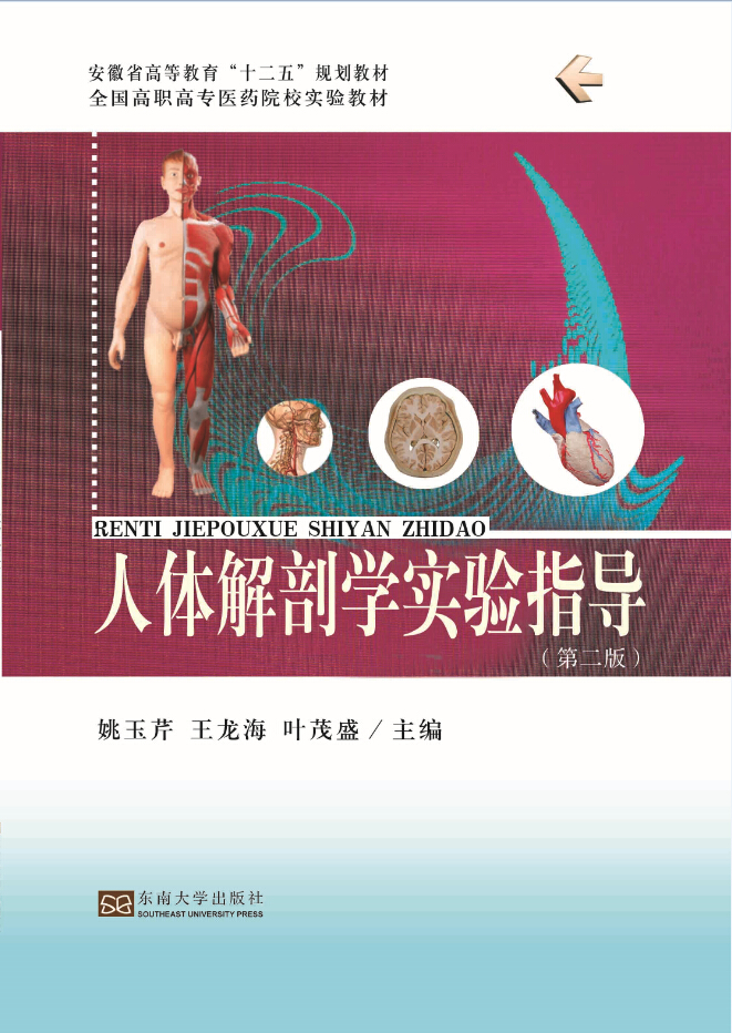 人體解剖學(xué)實(shí)驗(yàn)指導(dǎo)(第二版) *商品名稱*