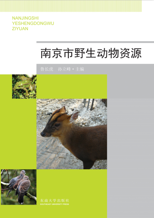 *商品名稱*